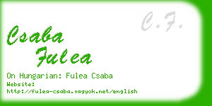 csaba fulea business card